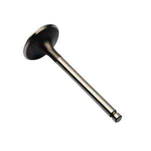 Angebot Soupape d admission pour Yamaha XS 400 750 850 1100 1J7-12111-01