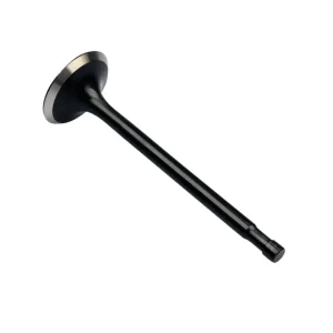 Finale Aktion Soupape de sortie pour Honda GL 1000 1100 Goldwing 14721-371-000