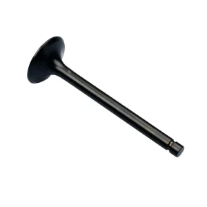 Valvola di scarico per Kawasaki GPZ GT Z ZR ZX 750 Z 650 12005-1006 Markenware