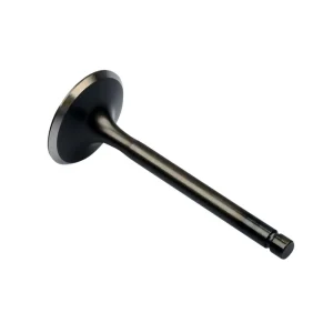 Válvula de admisión para Kawasaki Z 1300 DFI 12004-1020 Highlight