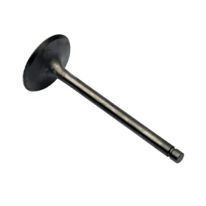 Válvula de admisión para Kawasaki ZR 1100 Zephyr 12004-1107 Nur Heute