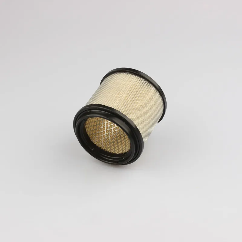 Kracherpreis Filtro dell'aria per Polaris Hawkeye Phoenix Sawtooth Sportsman Trail Blazer 7080369