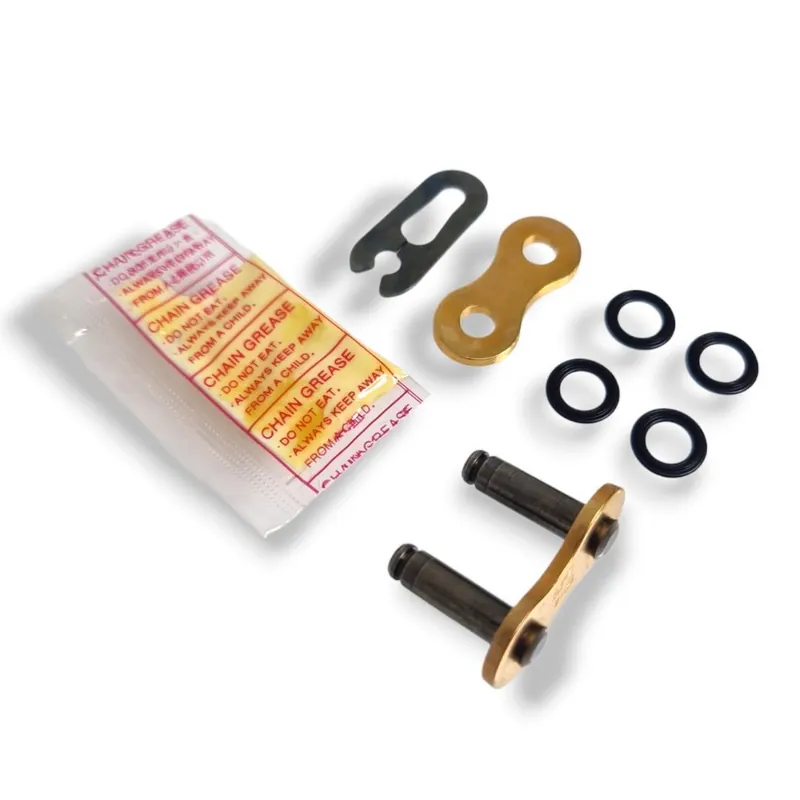 DID 520 ERVT (G+B) clipschloss Must-Have