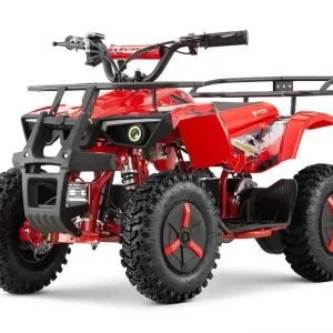 Dusty Sport 1000W 36V Electric Quad Bike on Off Road Tyres Heißes Angebot