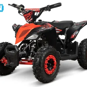 Sonderaktion Replay Deluxe 1000W 36V Li-Ion Electric Quad Bike
