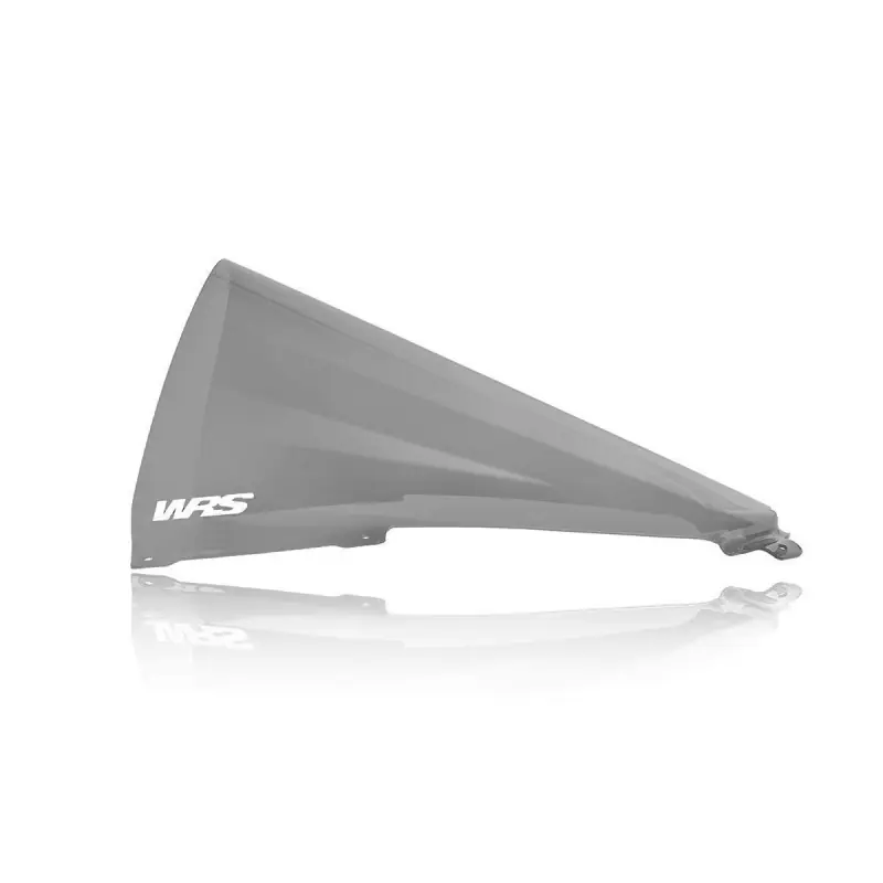 Mega-Angebot WRS - SCHEIBE RACE PANIGALE V4/S/