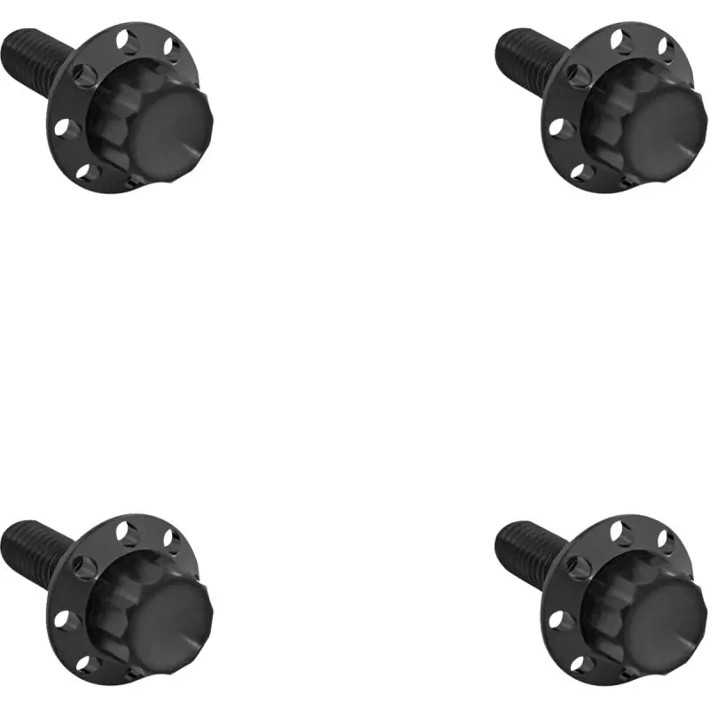 ARLEN NESS - SCHRAUBENKIT TITAN - FLHX 24-25 Markenprodukt