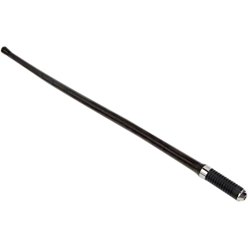ARLEN NESS - ANTENNE WHIP Sonderangebot
