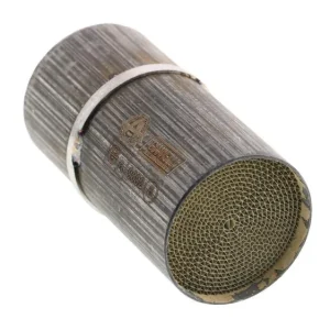 Katalysator Giannelli Nur Heute