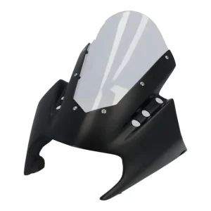 Versand Am Gleichen Tag Cockpitscheibe Radical Racing