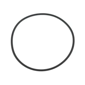 Highlight Dichtung Wasserumpendeckel Athena