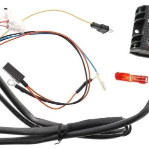 ECU Motorsteuergerät Malossi Force Master Schnäppchen