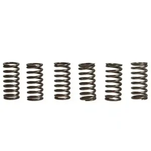 Echt Kupplungsfedern Set EBC