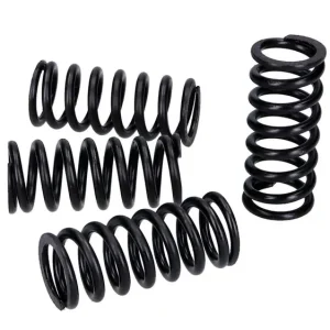 Kupplungsfedern Set Top Performances Jetzt Bestellen