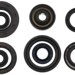 Motor- Simmerringsatz Athena Neu Im Sortiment