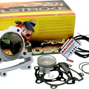 Zylinderkit & Tuning ECU Malossi 180cc Sale