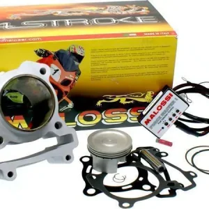 Zylinderkit & Tuning ECU Malossi 180cc Beliebt