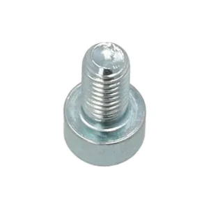 Finale Aktion Schraube Ritzel Aprilia OEM