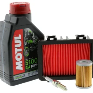 Inspektions- Wartungskit Echt