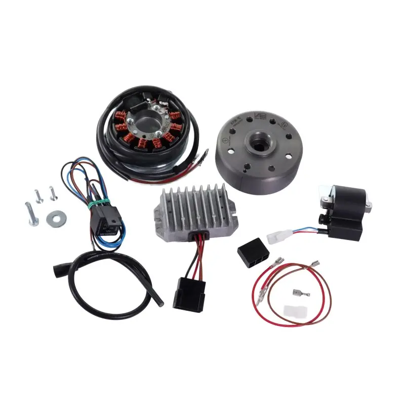 Vape Zündung MZ & IFA RT125 /1 /2 /3 12V 100W DC Lichtmaschine kontaktlos, elektronische Zündung Elektronik Regler, Zündspule, Kabel Markenprodukt