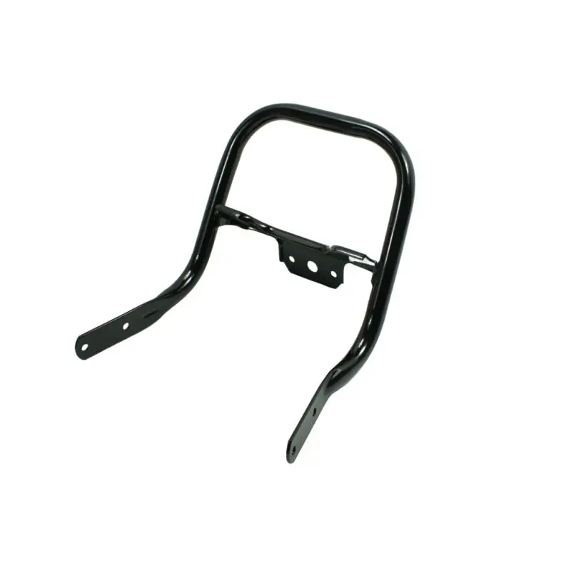 Hinterer Haltebügel ohne Blinkleuchtenhalter, schwarz pulverbeschichtet SR50 SR80 N Soziusgriff Top-Preis