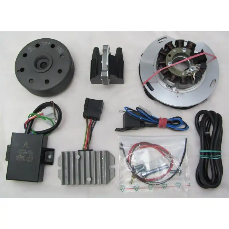 Garantierte Lieferung 2-Zündkerzen Lichtmaschine, kontaktlose Vape Zündung für NSU Max Standard Spezial Supermax 12V 100W 1. Quali