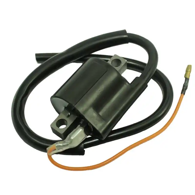 Preisknaller Zündspule innenliegend inneliegend Adly Air Tech Aprilia Scarabeo Rally SR 50 Yamaha Aerox Benelli 491 Beta CPI Aragon Generic Honda Italjet Keeway Kreidler Drive RMC-E KTM Chrono Kymco Macal Malaguti MBK MZ Moskito Rex