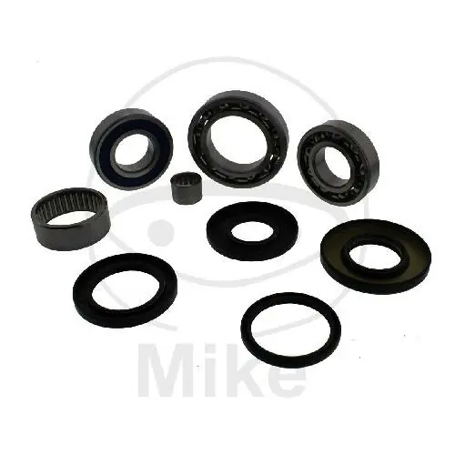 Expressversand Kit de reparación de diferencial para Suzuki LT-F 250 Ozark LT-Z 250 Quadsport