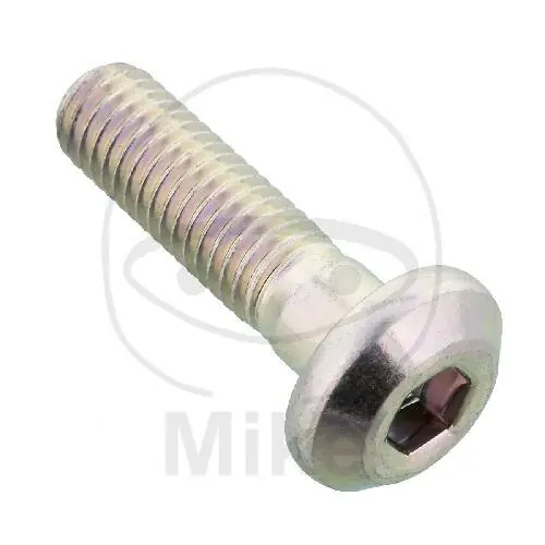 Finale Aktion SCHROE M8X1.25X30MM