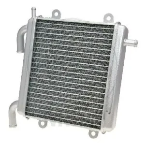 Refroidisseur d'eau pour MBK YQ 50 1997-2006 Yamaha YQ 50 1997-2012 Zertifiziert