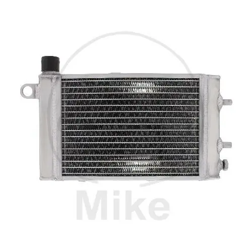 Water cooler for Aprilia RST 1000 RSV 1000 SL 1000 Tuono 1000 Mega-Angebot