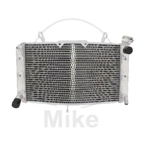 Water cooler for Yamaha FZ1 1000 2006-2015 FZ8 800 2010-2016 Expressversand