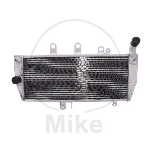 Refroidisseur d'eau pour Suzuki GSX 1250 FA ABS 2010-2017 Neuheit