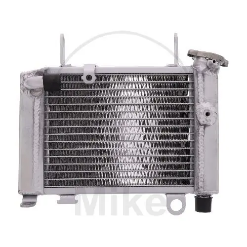 Wasserkühler für Honda CBR 125 2011-2019 Angebot