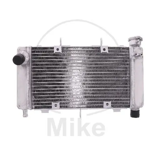 Versand Am Gleichen Tag Enfriador de agua para Yamaha FZ6 600 2004-2006