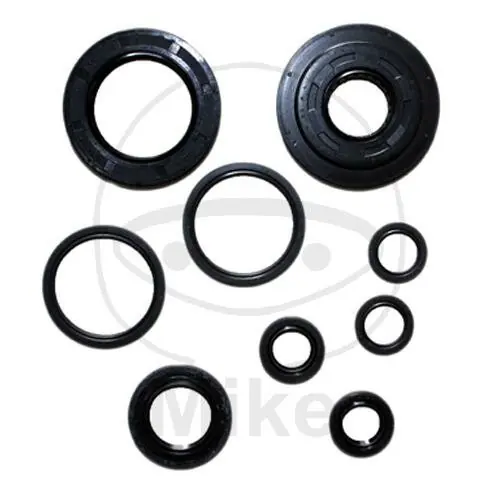 Zertifiziert Dichtungssatz Motor für Honda FES NES PES SH 125 150 Keeway Outlook 125