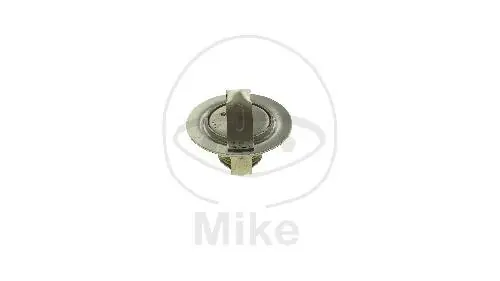 Thermostat pour Kawasaki 600 750 900 1000 1100 1200 1500 Gratis Versand