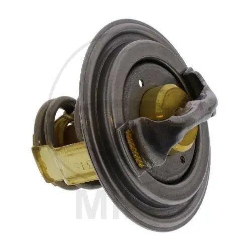 Termostato per BMW HP4 1000 2012-2016 S 1000 2009-2017 Direktkauf